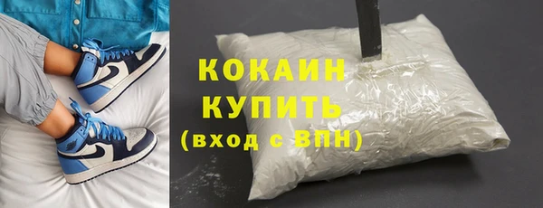 дмт Пестово