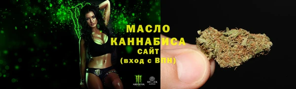соль ск Переславль-Залесский