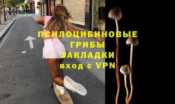 дмт Пестово
