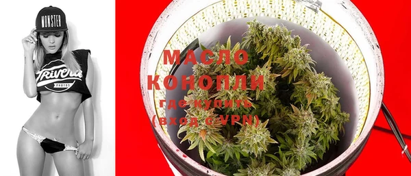 крисы Пересвет