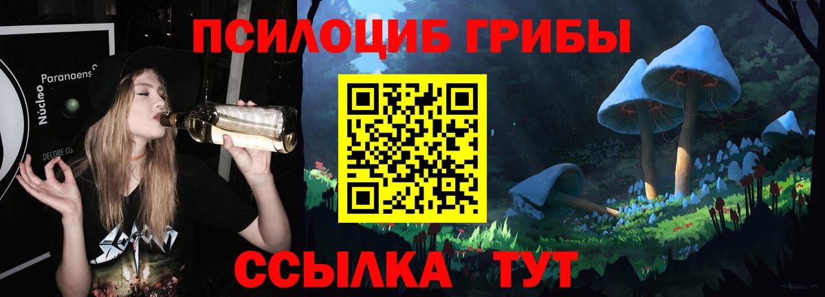 Псилоцибиновые грибы Cubensis Ржев
